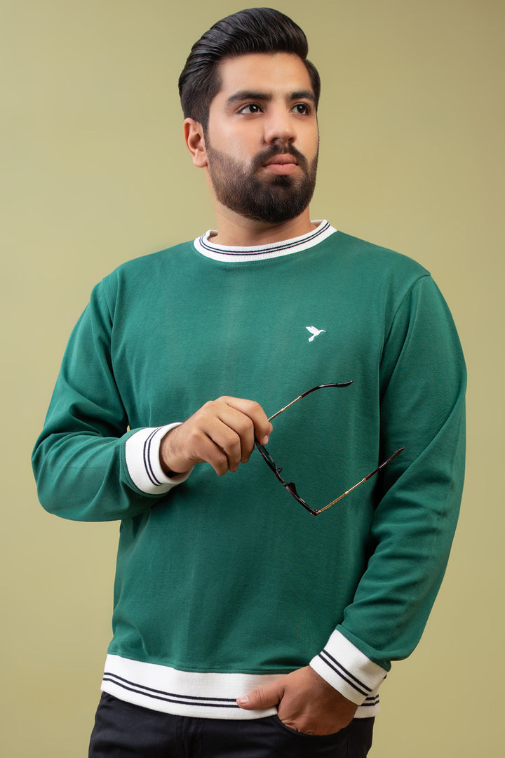 Caribbean Green Yarn Dyed Rib Sweatshirt (Plus Size) - W23 - MSW076P