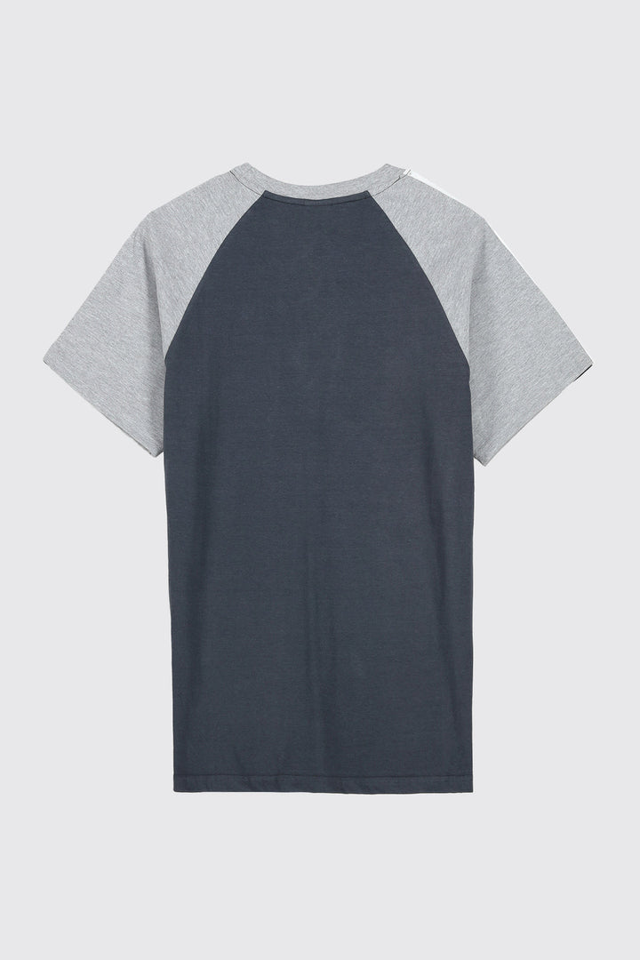 Dark Grey & Heather Grey Paneled Raglan T-Shirt (Plus Size) - A23 - MT0282P
