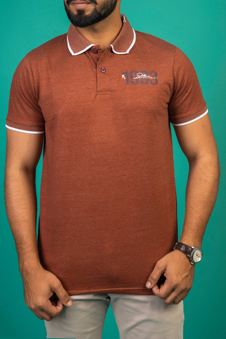 Brown Melange & Blue Tipped Collar Polo Shirt - A23 - MP0182R