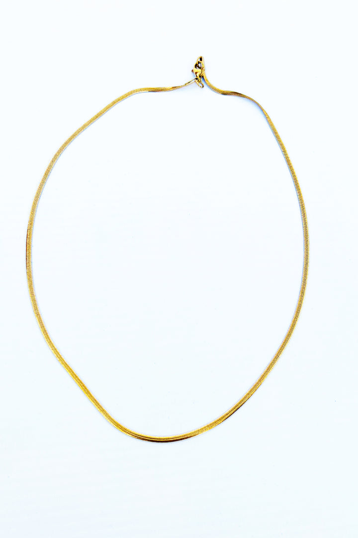 Golden Whisper Minimalist Chain - S23 - WJW0033