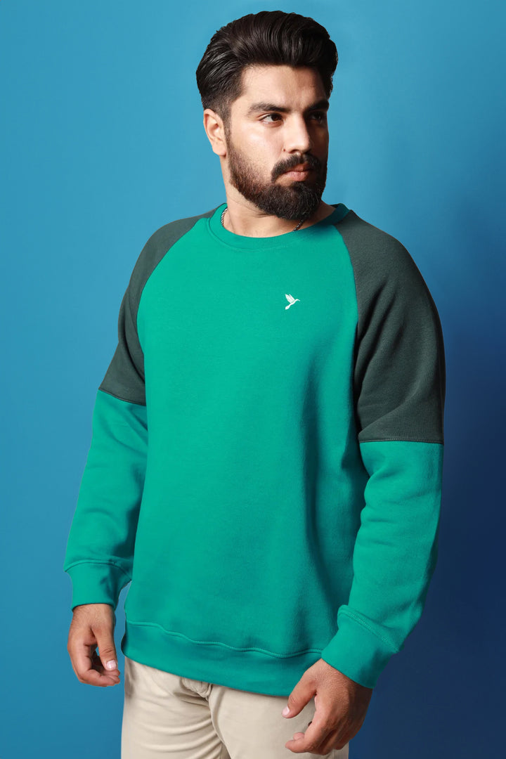 Teal & Green Raglan Sweatshirt (Plus Size) - W22 - USW011P