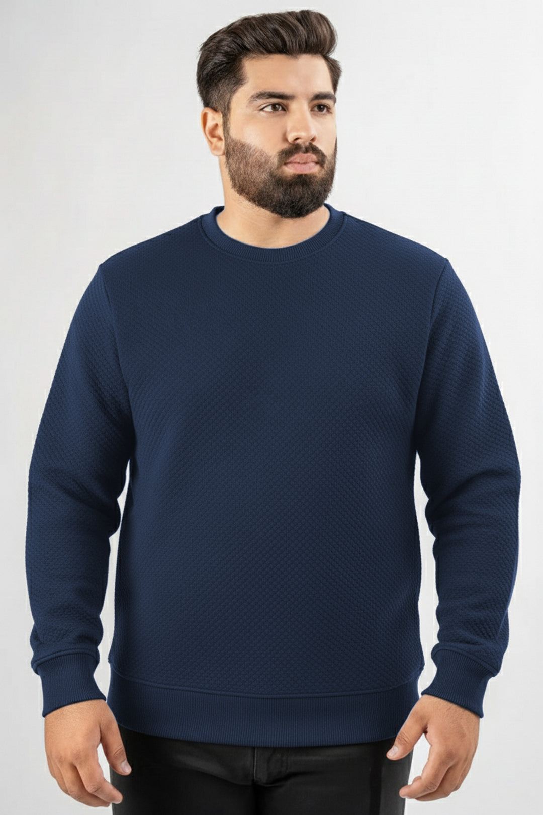 Blue Quilted Textured Sweatshirt (Plus Size) - W25 - MSW105P