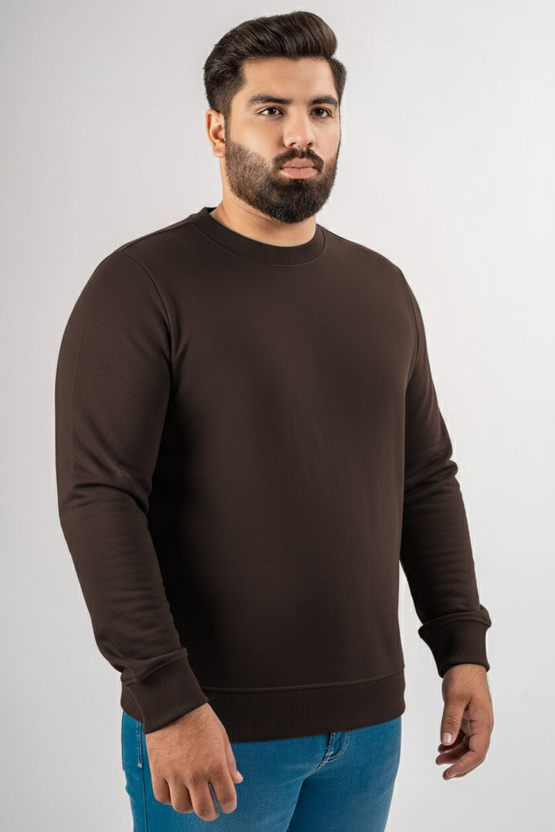 Brown Basic Sweatshirt (Plus Size) - W25 - MSW098P