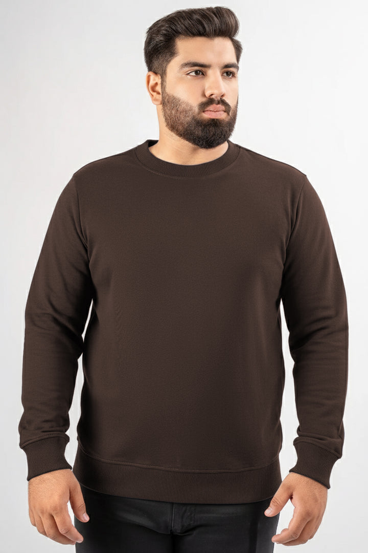 Brown Basic Sweatshirt (Plus Size) - W25 - MSW098P