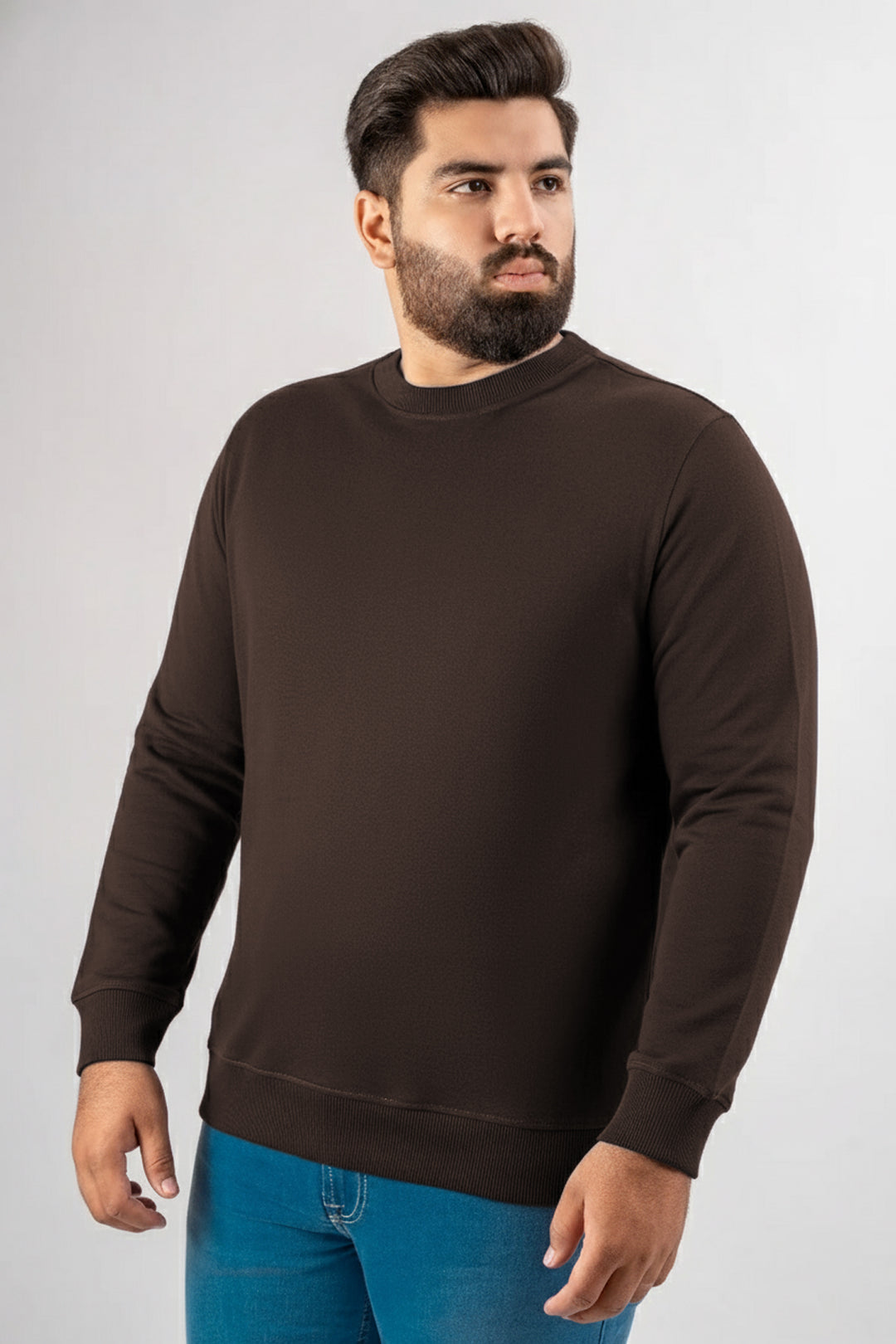 Brown Basic Sweatshirt (Plus Size) - W25 - MSW098P