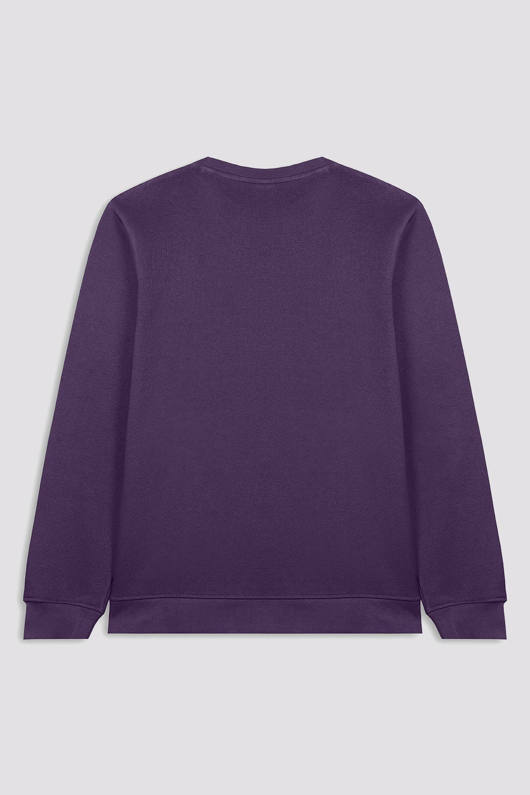 Sassy Purple Sweatshirt - W22 - WSW0034