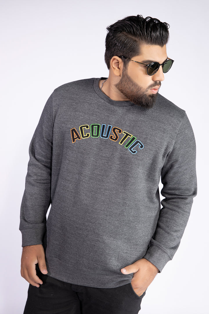 Acoustic Charcoal Embroidered Sweatshirt (Plus Size) - W21 - MSW029P