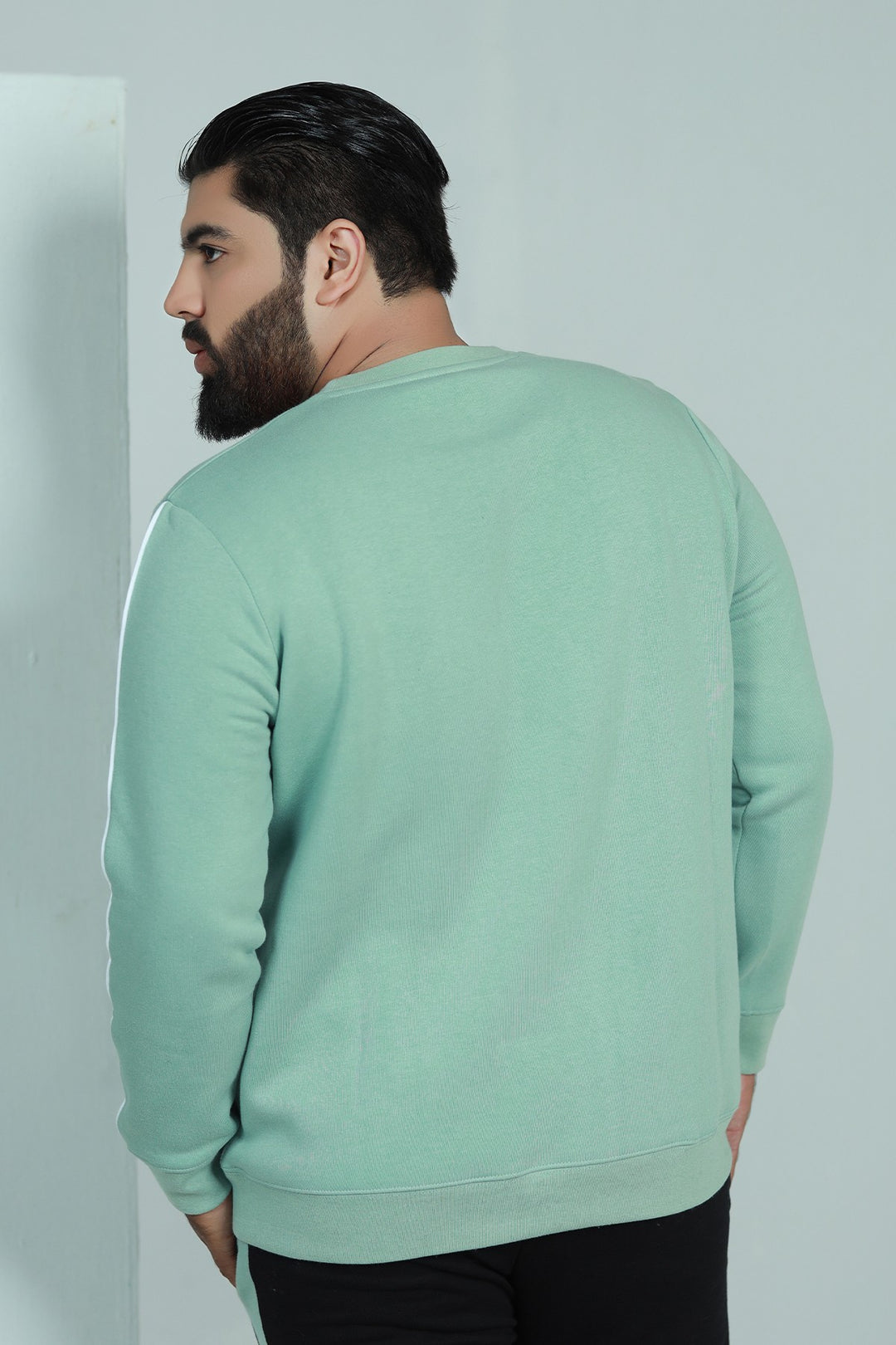 Tea Green Sweatshirt (Plus Size) - W21 - MSW009P