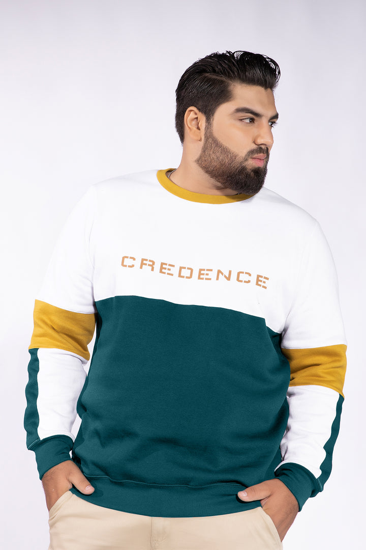 Credence Color Block Sweatshirt (Plus Size) - W21 - MSW016P
