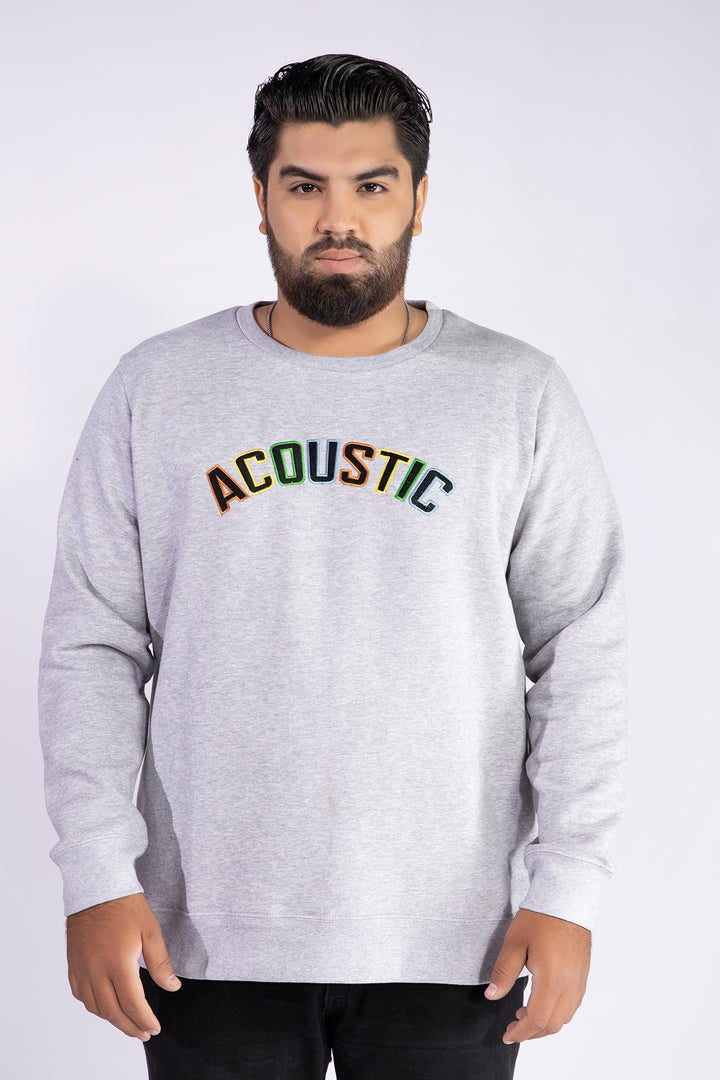 Acoustic Grey Embroidered Sweatshirt (Plus Size) - W21 - MSW028P