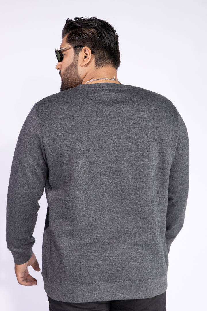 Acoustic Charcoal Embroidered Sweatshirt (Plus Size) - W21 - MSW029P