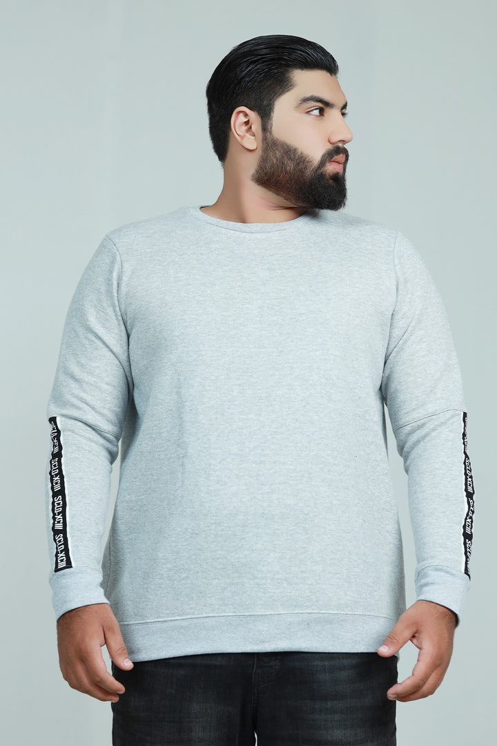Grey Graphic Sweatshirt (Plus Size) - W21 - MSW019P